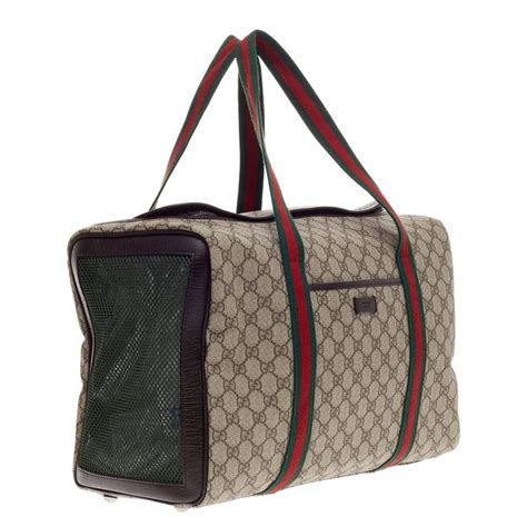 gucci feline bag|Gucci pet carrier bag.